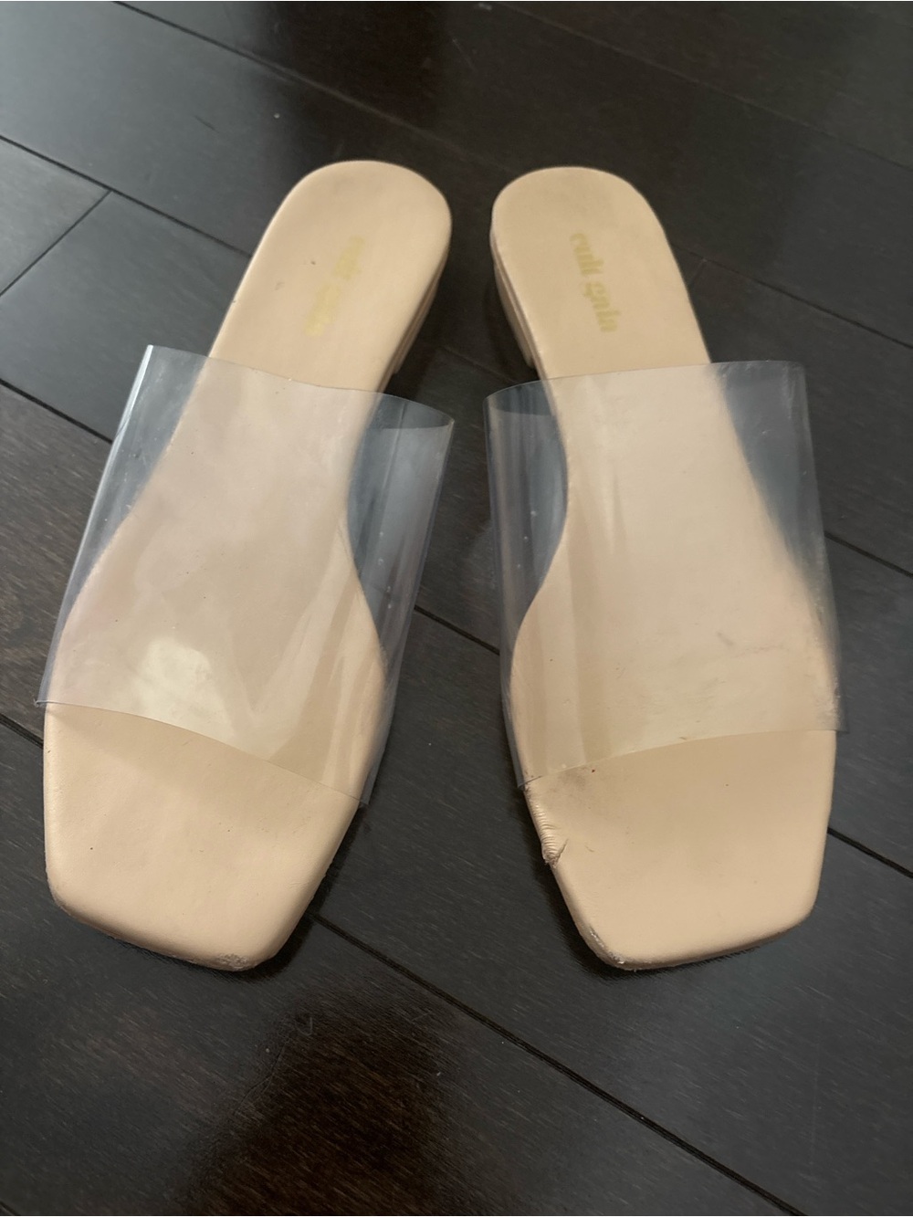 cult gaia Nude Clear-Band Slide Mules